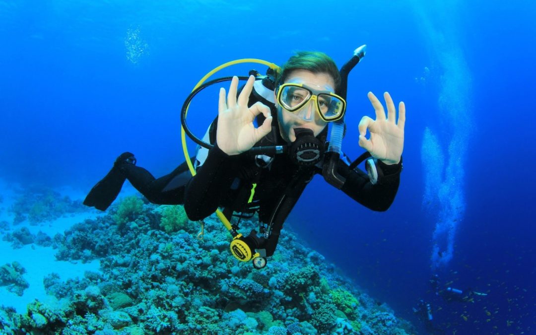 What to Expect When Scuba Diving