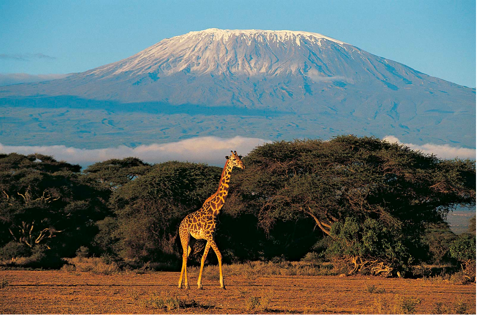 Mount Kilimanjaro