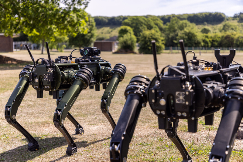 autonomous weapon systems